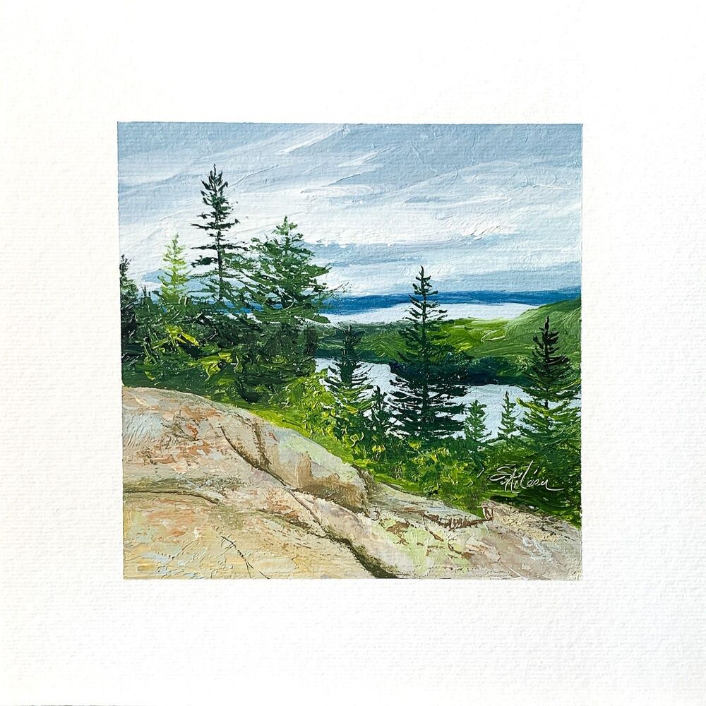 8x8 Maine Original Oil Painting Acadia Pine Trees Cadillac Mountain Rocks Signed